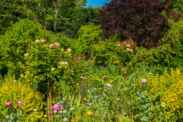 Le jardin de Claude Monet à giverny