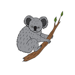 Vector hand drawn doodle sketch colored koala sitting on tree branch isolated on white background
