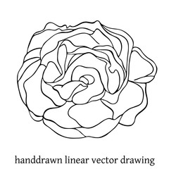 Blooming black contour rose isolated on the white background. Vector handdrawn illustration