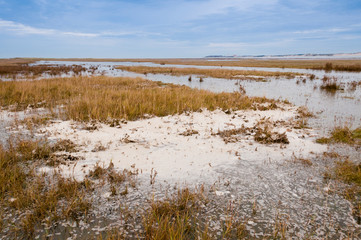 Les mollières inondées par la grande marée en Baie d'Authie