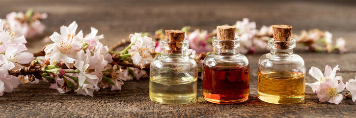 Panoramic header of essential oil bottles with blooming tree branches - obrazy, fototapety, plakaty