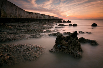 Au pied des falaises de la côte Picarde (Bois de Cise)