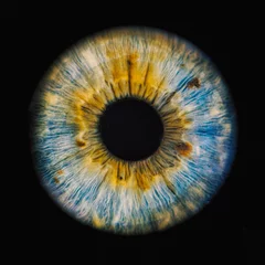 Foto op Plexiglas menselijke iris © Lorant