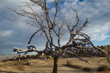 Protect to Evil Eye Nazar Glass. Cappadocia Tree.