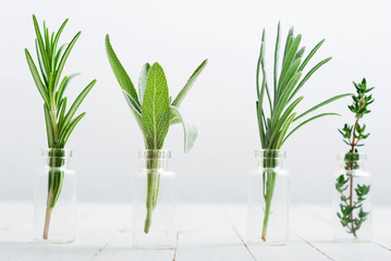 lavender, thyme and sage fresh herbal leaves in mini glass bottles, white wood table background