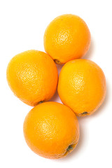 Naval Oranges Isolated on White