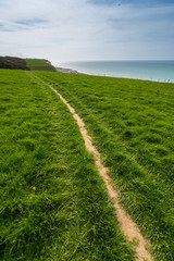 Promenade en haut des falaises, entre Mers-les-bains et Le Bois de Cise