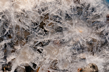 Gros plan sur la glace au Hourdel