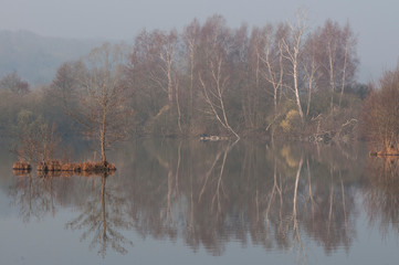 Les marais de la Somme dans le brouillard