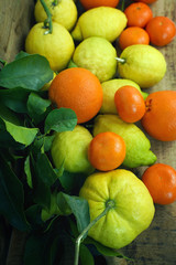 harvest of lemons, orange, tangerine on wooden background