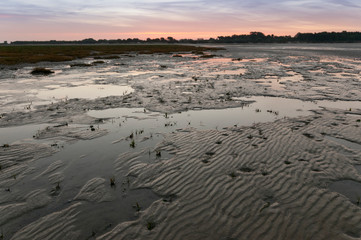 La slikke en Baie de Somme