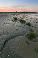 La slikke en Baie de Somme