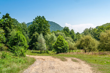 Fototapeta na wymiar Beautiful summer countryside landscape in mountains. Wonderful sunny day scenery with trees, wild herbs and country road. Hills, mountains, gardens, blue sky with clouds