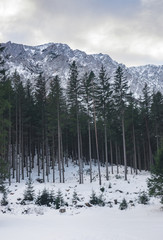 Winter landscape with mountain and trees near Green lake (Gruner see) in sunny day. Famous tourist destination for walking and trekking in Styria region, Austria