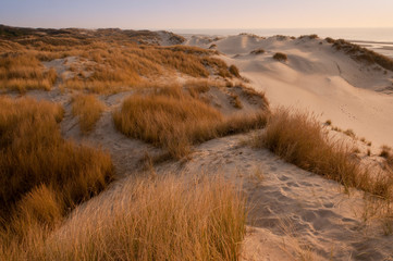 Les dunes du Marquenterre à Saint-Quentin-en-Tourmont