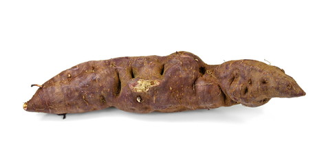 Sweet potatoes isolated on white background. Ipomoea batatas. Batata potato.