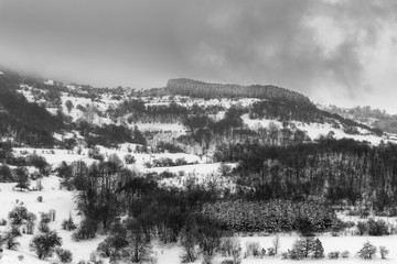 Fototapeta premium Misty, moody, contrasty, black and white view of a mountain forest during winter season