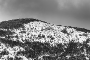 Misty, moody, contrasty, black and white view of a mountain forest during winter season