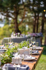 Preparing for an open-air party. Decorated served tables await guests. Decoration Details
