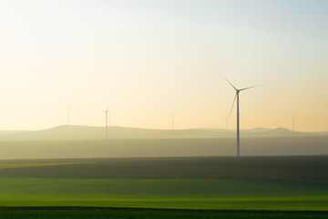 Green fields with eight wind turbines during the sunset. Background image of sustainabe energy in Ukraine countrysdie
