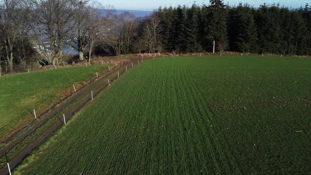 Elektrozaun an Wiese gegen Wildschweine