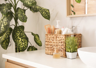 Green plants and toiletries on white countertop in bathroom. Interior design