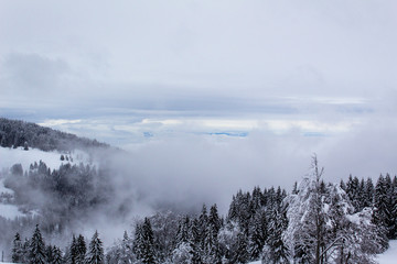 winter fog snowy scene alps mountain white snow tree forest calm mystery landscape