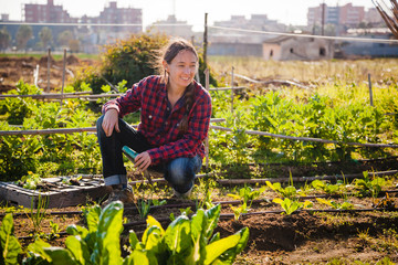 Young woman gardening in urban garden