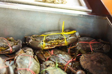Live crabs wrapped in ribbons in a metal box at a food market in asia