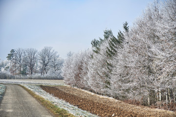 Walrand an einem Wintertag