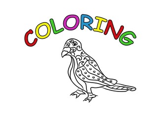 Pigeon bird hand drawing coloring page. Modern doodle contour illustration black