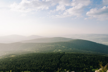 Green forests in the valley between the mountains