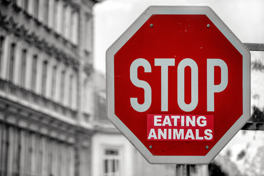 Stop eating animals.