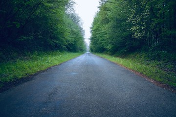 Obraz premium Long straight road through the horizon in a foggy day