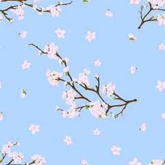 Seamless pattern with blooming sakura branches on blue pastel background, Vector illustration of pink Cherry blossom.