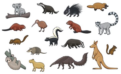 Wild animal cartoon icons of zoo and wildlife