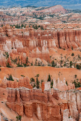 Hoodoo rock formations at Bryce Canyon National Park, Utah