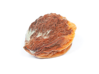 One rotten apricot
