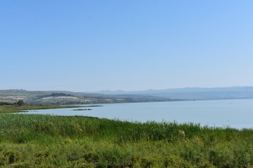 The coast of the Sea of Galilee, Israel.