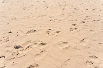 Footsteps in the sand on a beach.