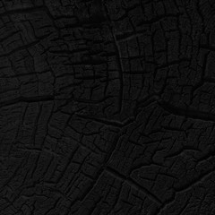 Wood charcoal texture. Burnt tree. Black coal background