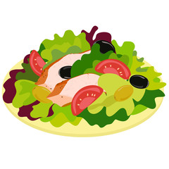 Vector drawing of fresh spring vitamin salad on a flat plate with lettuce, slices of tomato, olives and sliced ​​steak, red meat
