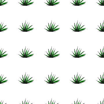 Colored seamless background image with hand drawn garden plant.
