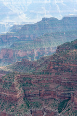 Grand Canyon North Rim, Grand Canyon National Park, Arizona, USA