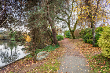 View at Trail in Park in Vancouver, Canada.