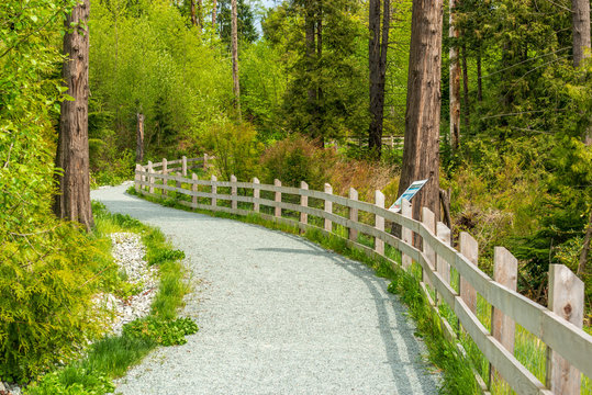 View at Trail in Park in Vancouver, Canada.