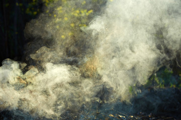 Bonrire smoke over the burning garden dry leaves with sun rays through.