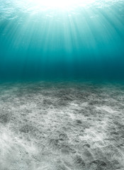 Fototapeta na wymiar Rays of light penetrate the clear water of Hawaii
