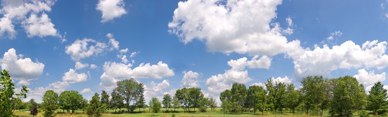 Panorama of a field covered in lawn and trees under a blue cloudy sky and sunlight