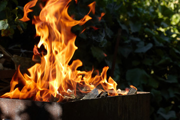 Fire flame texture on the green blurred background